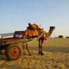 Urlaub in Indien 2016